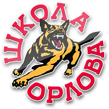 КЦ Школа-Орлова
